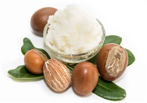 A Complete Guide For Usage Of Shea Butter For Hair Care