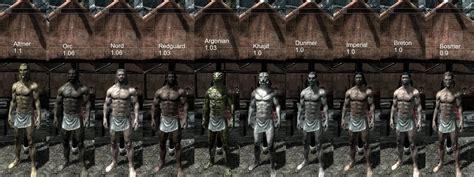 Skyrim Races List