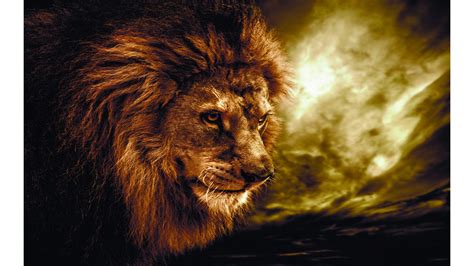 4K Lion Wallpapers - Top Free 4K Lion Backgrounds - WallpaperAccess