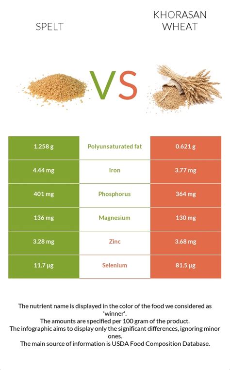 Spelt vs. Khorasan wheat — In-Depth Nutrition Comparison