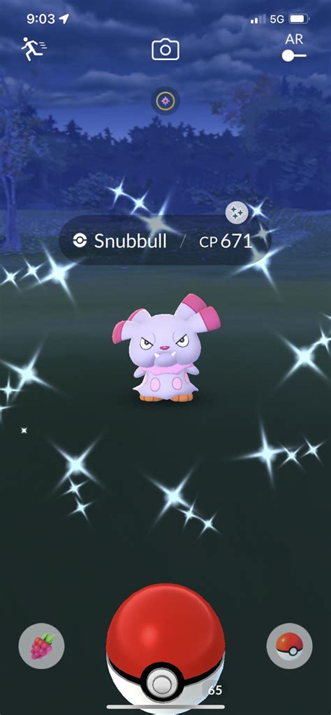 Just got a shiny snubbull at work! : r/pokemongo