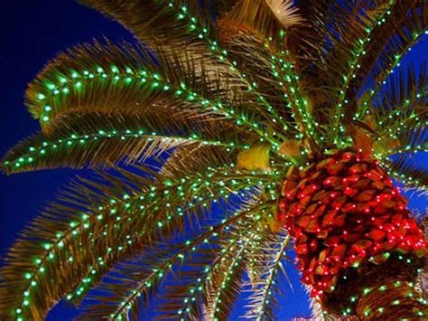 Outdoor Lighted Palm Tree Decorations | Shelly Lighting