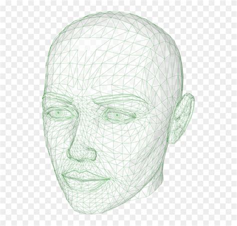 Head Wireframe Graphics Model 3d Human Computer - 3d Model Head Wireframe, HD Png Download ...