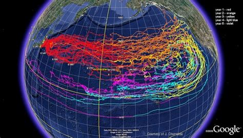 Tracking Japan’s Tsunami Debris | PBS NewsHour