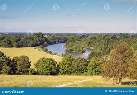 View form richmond hill stock image. Image of green, tree - 19866525