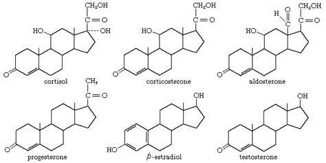 Derived Lipids- Steroids And Terpenes | A-Level Biology Revision Notes