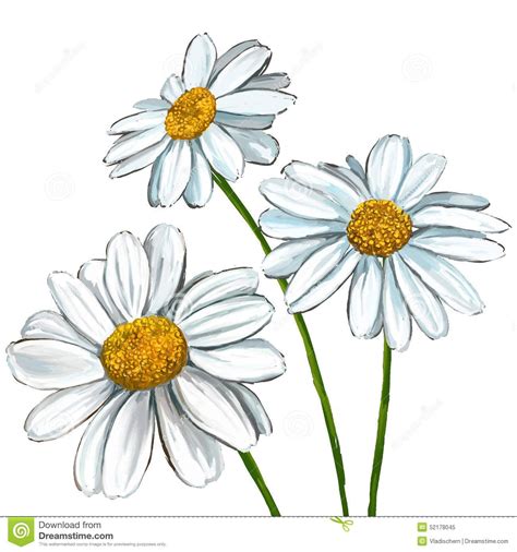 daisy illustrations - Google Search | Daisy drawing, Daisy flower drawing, Daisy painting