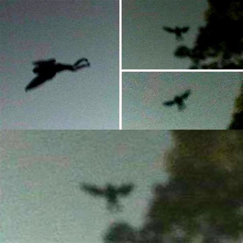 Chernobyl staff ‘saw infamous Mothman flying over reactor’ just before deadly explosion | Listen ...