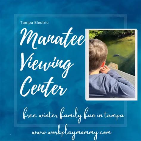 Tampa Manatee Viewing Center: Free Winter Family Fun – Work. Play. Mommy.