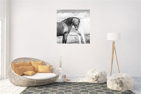 BLACK AND WHITE Horse Print, Large Horse Prints