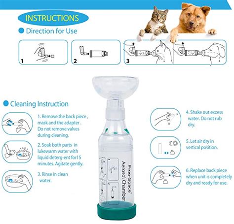 Cat asthma: treatment, symptoms, diagnosis. | Cats Energies