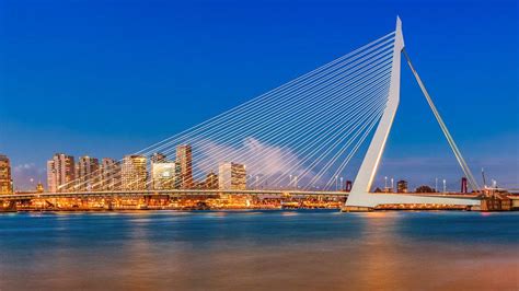 Erasmus Bridge in Rotterdam, The Netherlands | Heavenly Holland