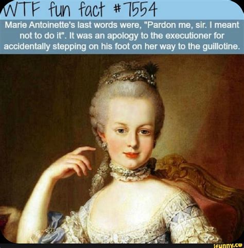 TE fun fact Marie Antoinette's last words were, "Pardon me, sir. I ...