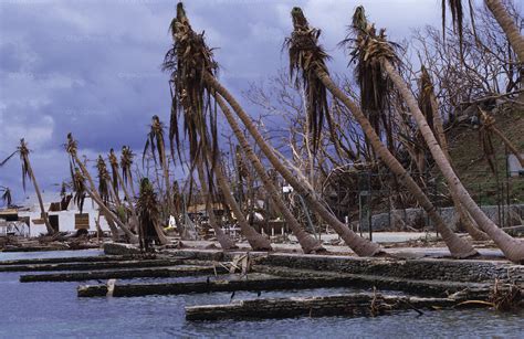 Roatan Islands after Hurricane Mitch, Honduras | Nigel Dickinson