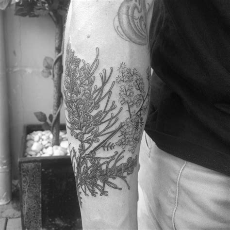 Grevillea and golden wattle flowers By Alexandyr Valentine Engraving Tattoo, Body Mods, Body ...