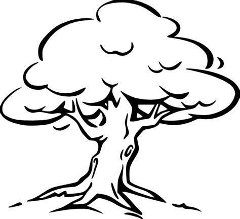 Tree Outline clip art Free vector in Open office drawing svg ( .svg ) vector illustration ...