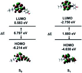 A naphthalimide-based turn-on fluorescence probe for peroxynitrite detection and imaging in ...