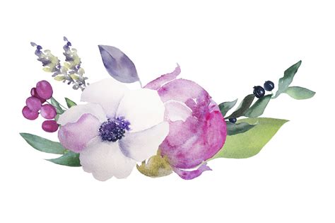 Watercolor Flowers Transparent at GetDrawings | Free download