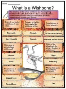 Turkey Wishbone Tradition Facts,Worksheets, History & Definition For Kids