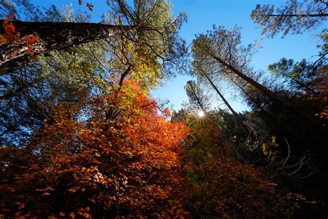 A look at Arizona's fall colors