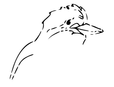 Kookaburra Outline - ClipArt Best