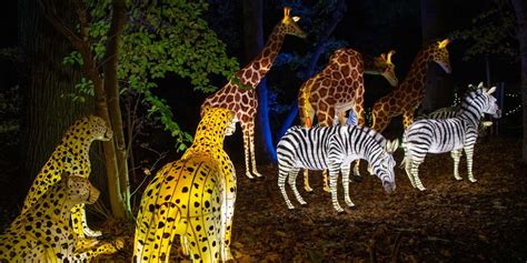 Bronx Zoo Holiday Lights 2025 | Everything you need to know! [UDPATE]