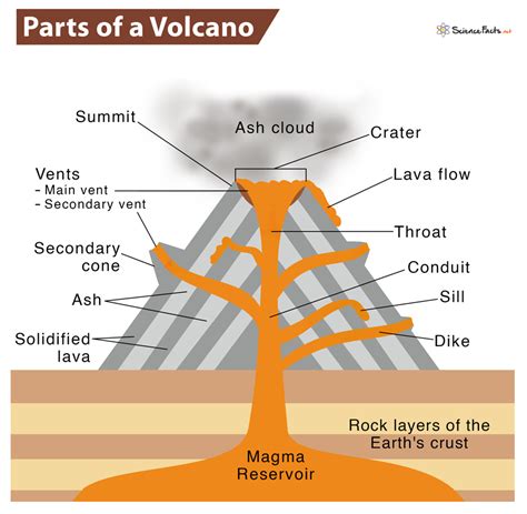 Parts of a Comet: Name, Composition, & Labelled Diagram