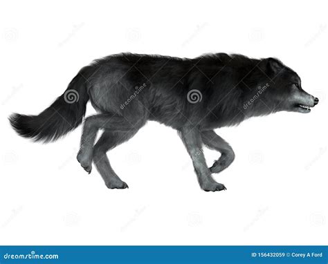 Dire Wolf Side Profile Royalty-Free Stock Photography | CartoonDealer.com #156432059