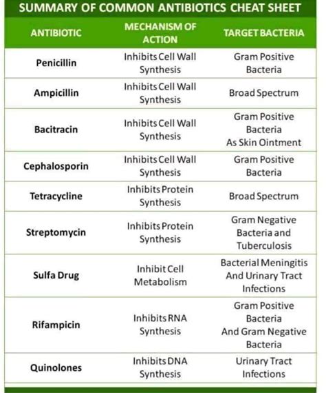 everything you get here: COMMON ANTIBIOTICS