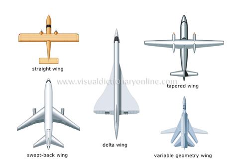 TRANSPORT & MACHINERY :: AIR TRANSPORT :: EXAMPLES OF WING SHAPES image ...