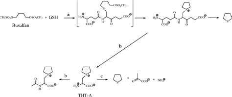 Busulfan Mechanism Of Action