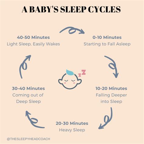 Why Do I Need to Know About Sleep Cycles? | The Sleepyhead Coach