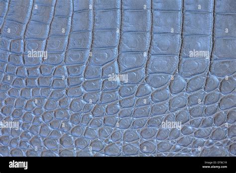 Crocodile skin pattern Stock Photo - Alamy