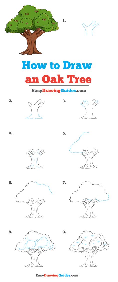 How to Draw an Oak Tree - Really Easy Drawing Tutorial | Trees drawing tutorial, Oak tree ...