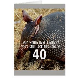 Funny Armadillo Gifts on Zazzle UK