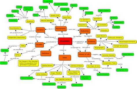 Evolution Concept Map