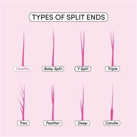 How To Stop Split Ends On Curly Hair?-Blog - | Nadula