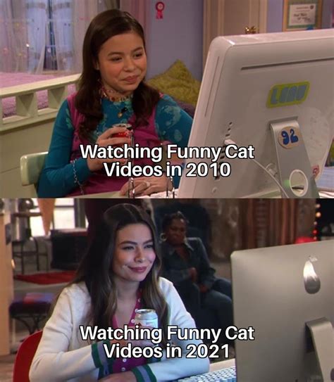 The day Funny Cat Videos stop is the day the Internet dies. : r/memes