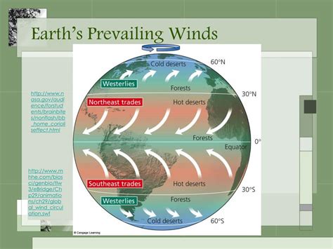 PPT - Climate and Biodiversity PowerPoint Presentation, free download ...