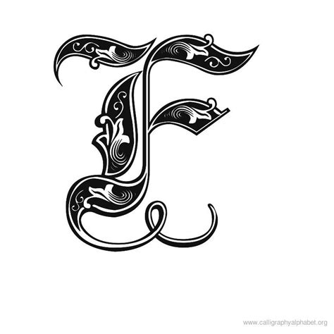 Calligraphy Alphabet Gothic F | Lettering alphabet, Calligraphy alphabet, Lettering fonts
