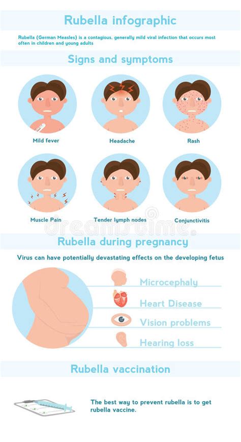 RUBELLA VIRUS Diagram | Quizlet