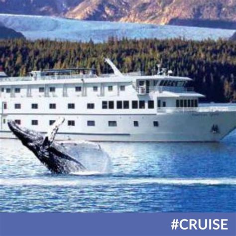 American Cruise Lines Is Ready To Take Travelers To Alaska Again - The Go To Family