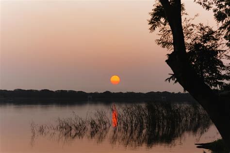 silhouette sunset over lake in public park. 7313514 Stock Photo at Vecteezy