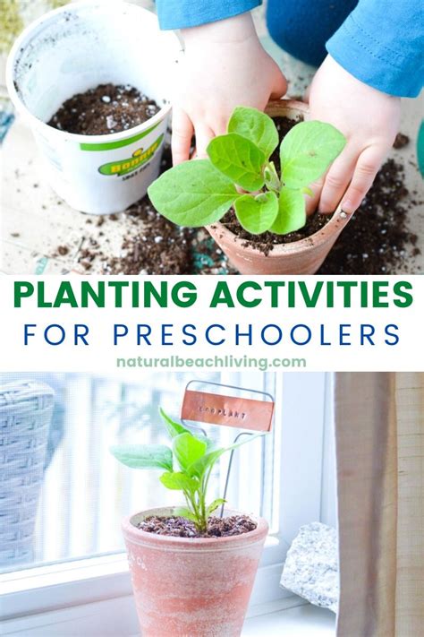 Planting Activities for Preschoolers and DIY Garden Markers - Natural Beach Living