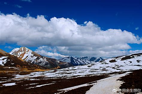 云南白马雪山白马雪山国家级自然保护区位于云南省西北部迪庆藏族自