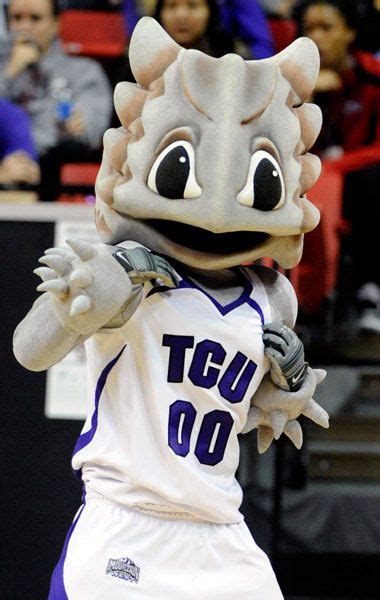 Crazy College Mascots | Mascot, Tcu horned frogs, Horned frogs