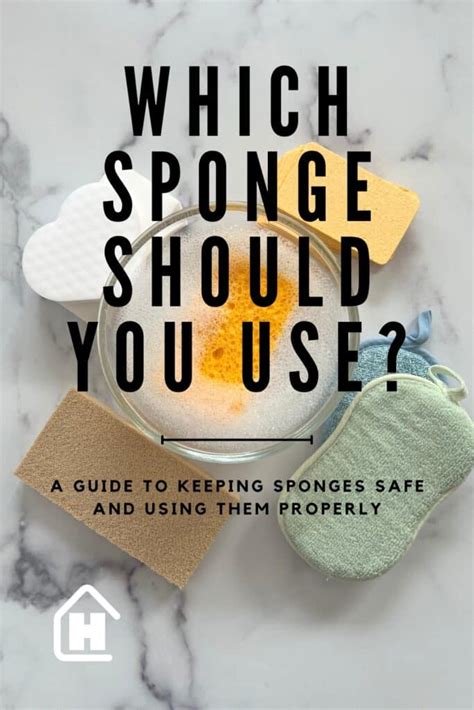 Which Cleaning Sponge Should You Use? A Cleaning Expert Explains