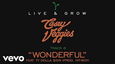 Casey Veggies - Live & Grow track by track Pt. 6 - "Wonderful" - YouTube