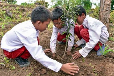 3 Alasan Mengapa Kita Harus Menanam Pohon – PPPA