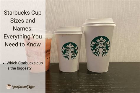 Starbucks Cup Sizes and Names: Everything You Need to Know